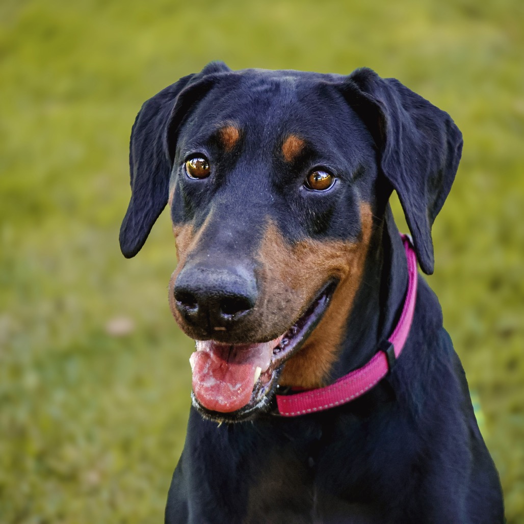 THELMA, photo 8