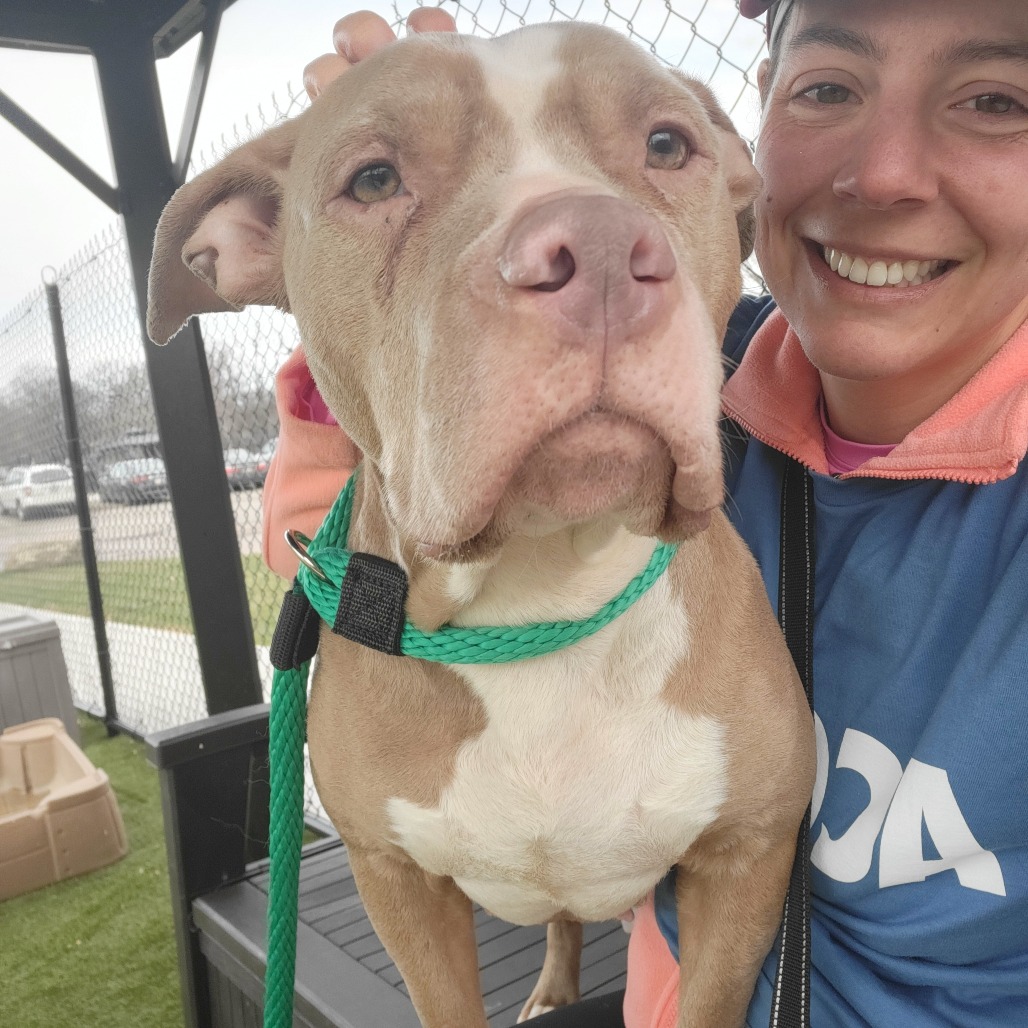 Momma Bear — thumbnail 3