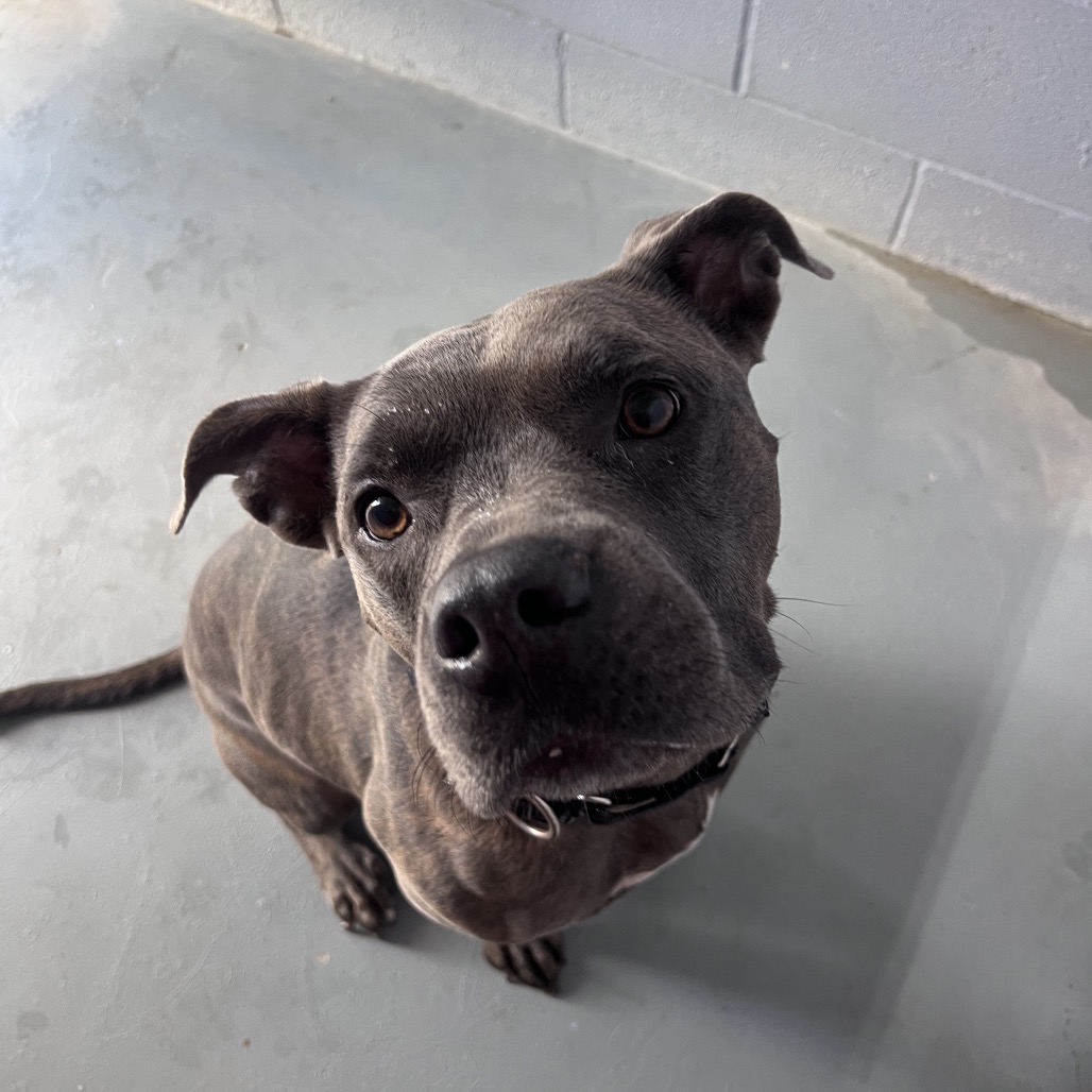 NALA BELL, photo 7