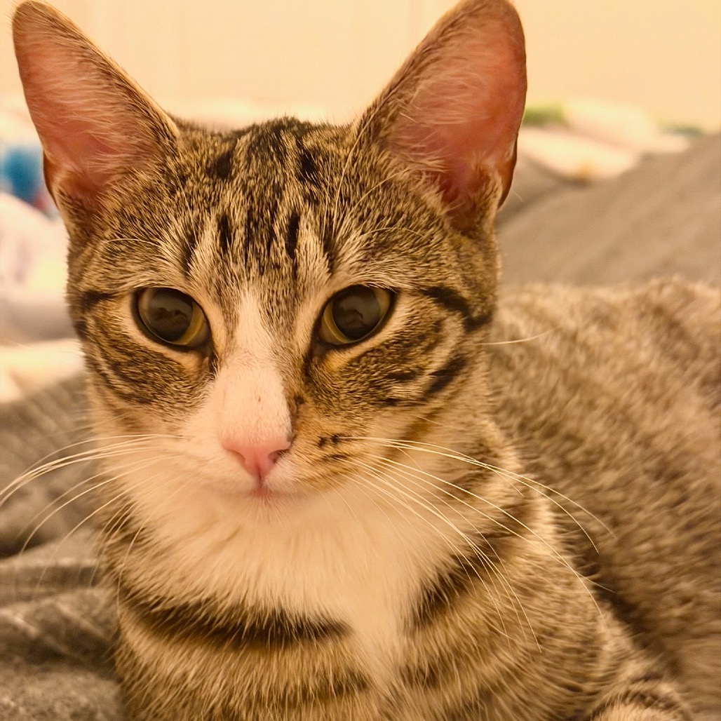 Violet, photo 20
