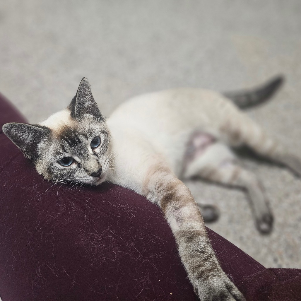 Ubetcha — thumbnail 4