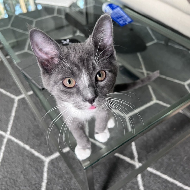 Photo of Walter