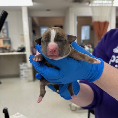 Azure — thumbnail 2