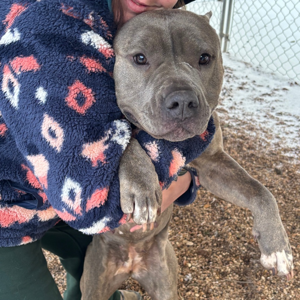 Fantine 2 — thumbnail 9