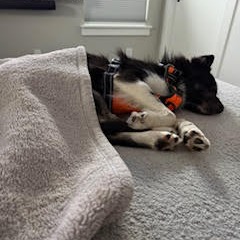 Luna — thumbnail 5