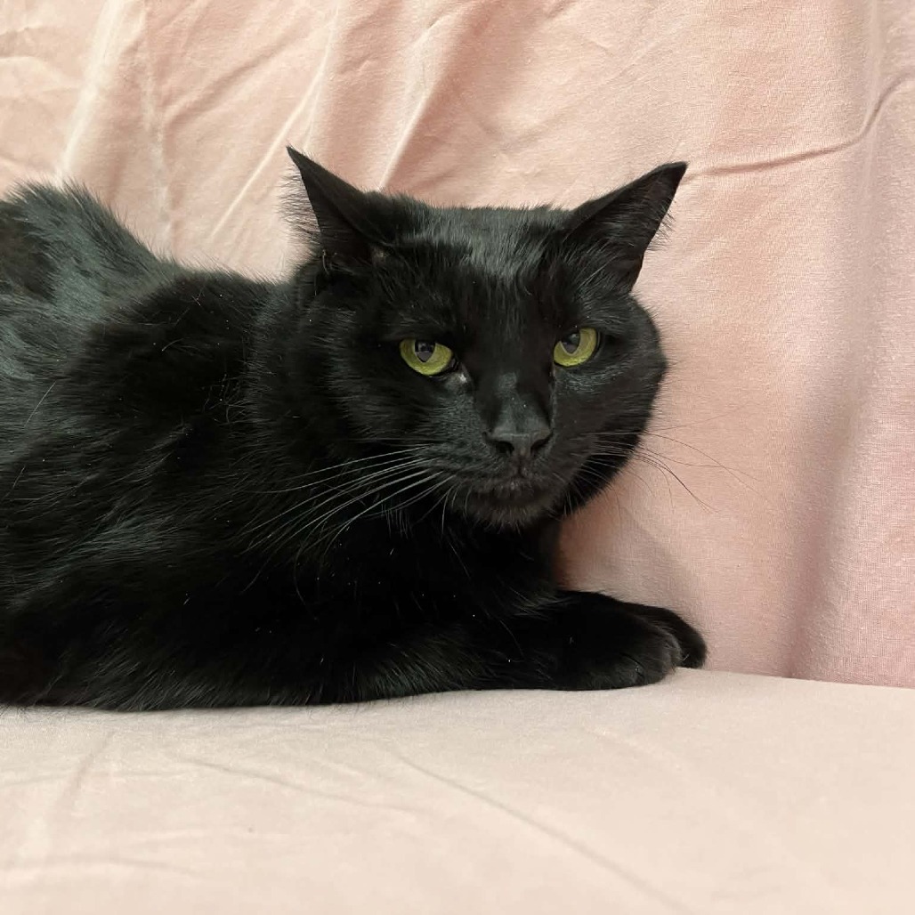 Charity — thumbnail 3