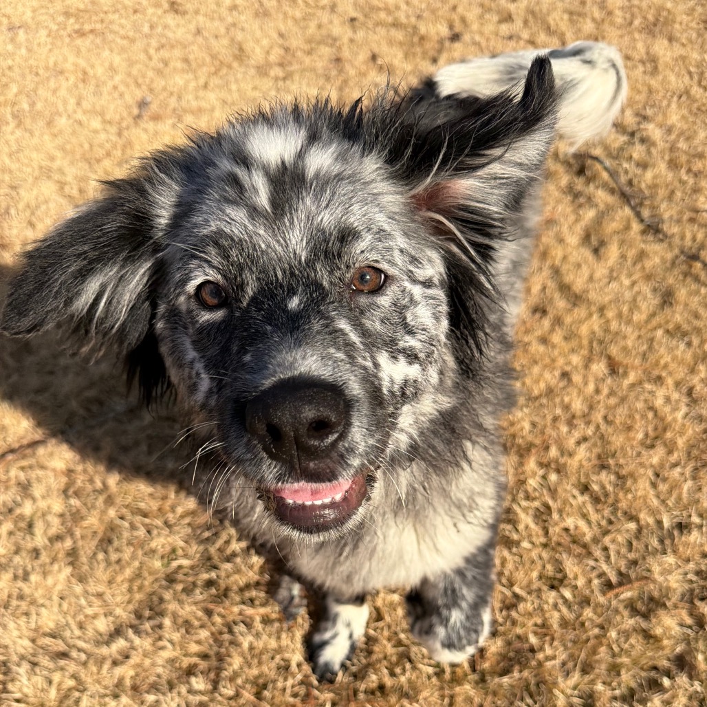 Lotty — thumbnail 2