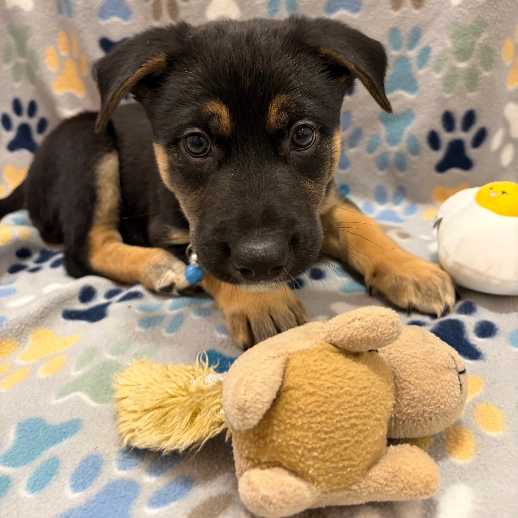 Oven Mitt — thumbnail 2