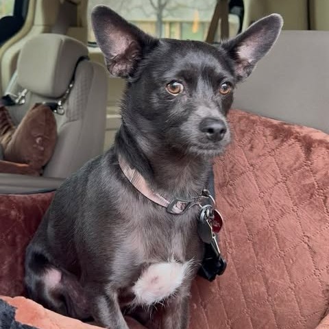 Photo of Rico "Duffus"