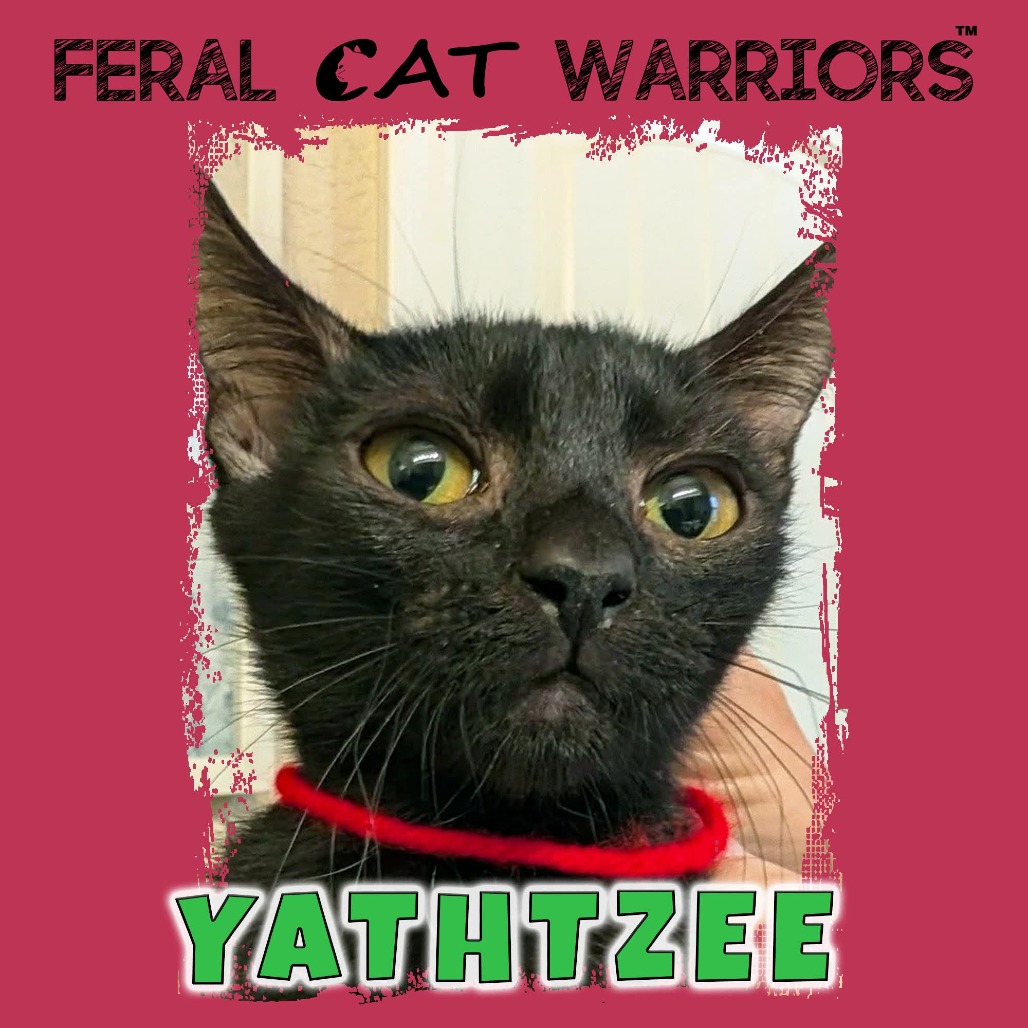 Yathtzee 