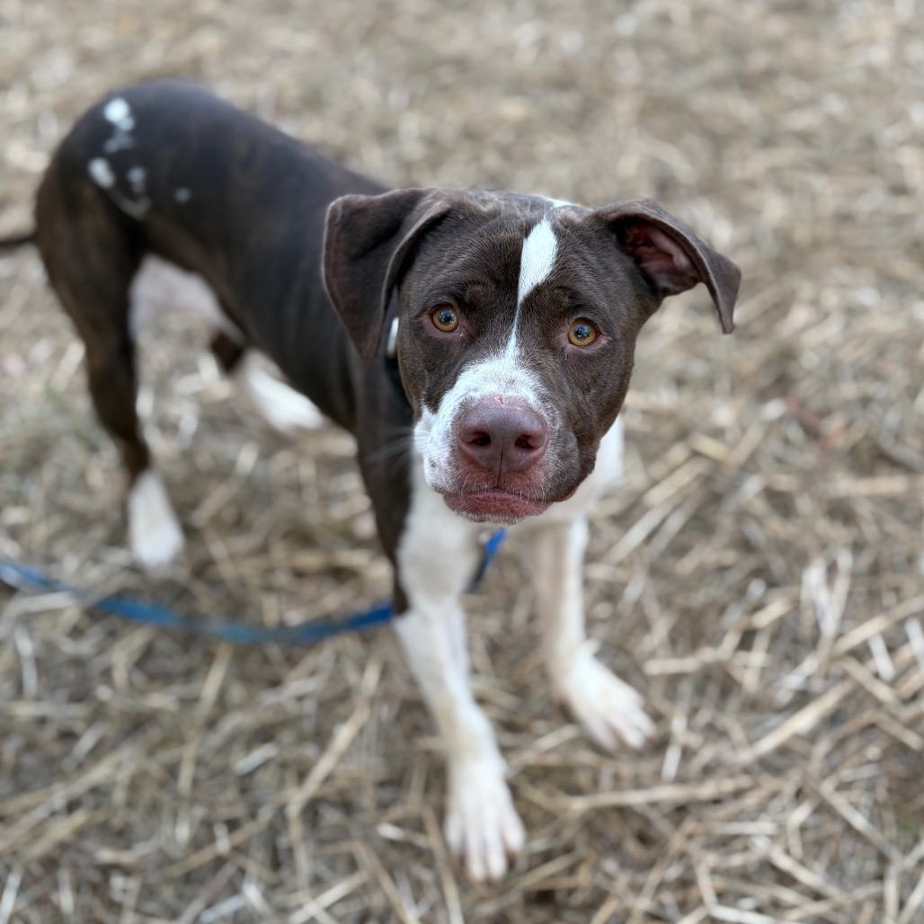 Reese — thumbnail 3