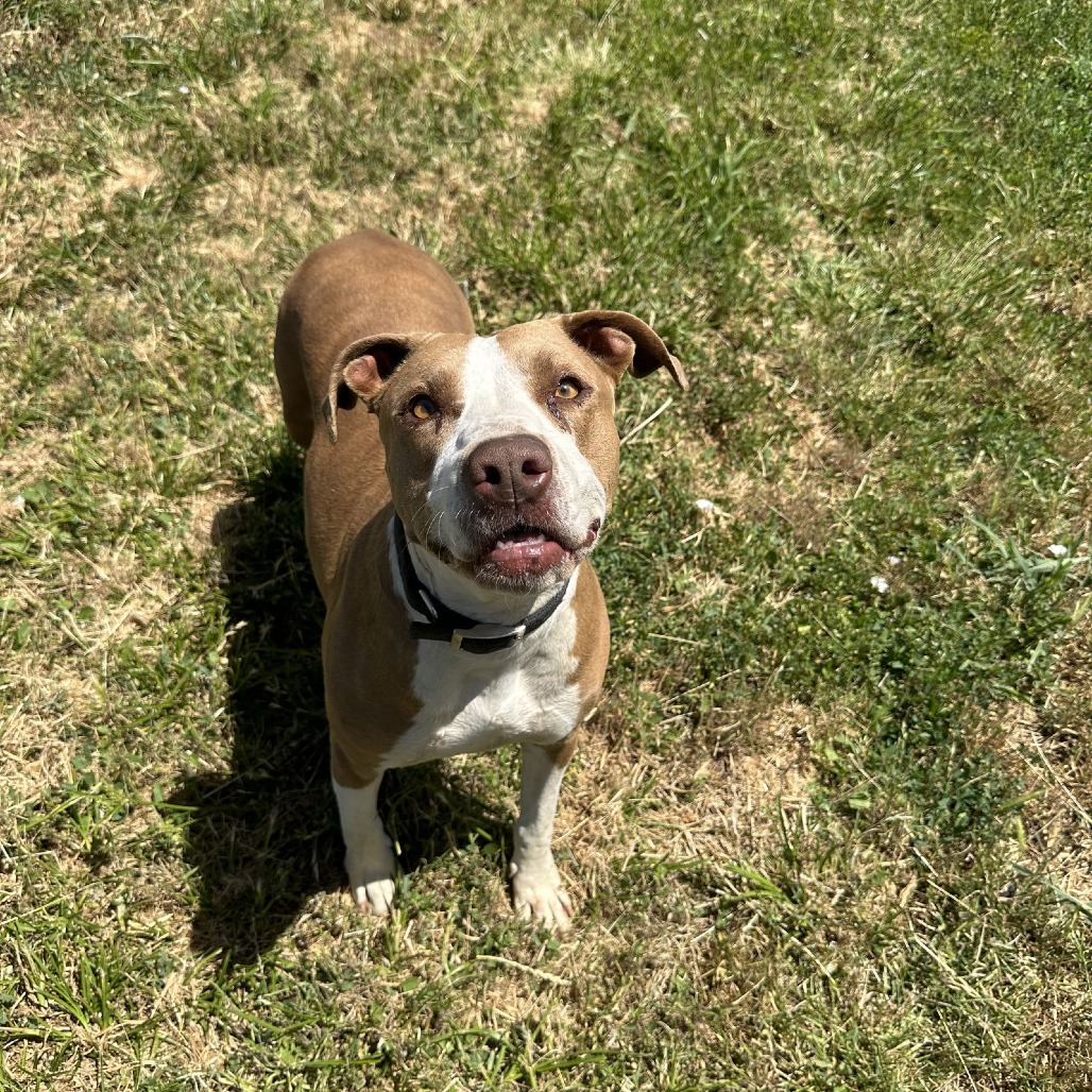 Donna Barkin — thumbnail 4