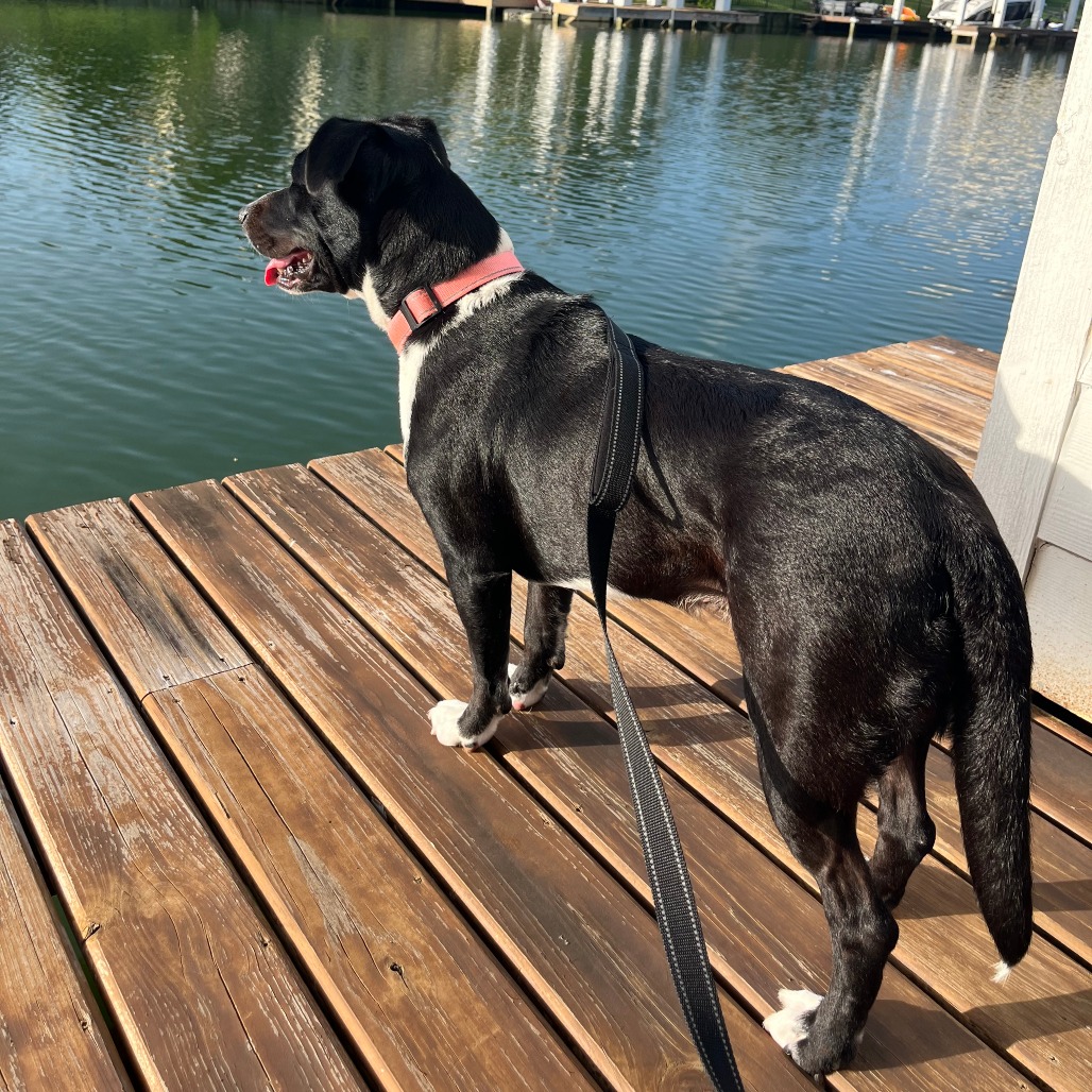 Lola, photo 23