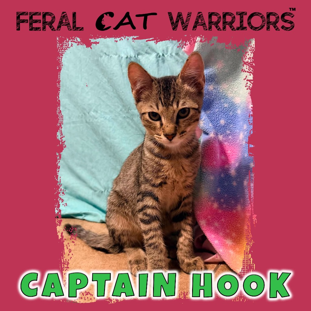Captain Hook
