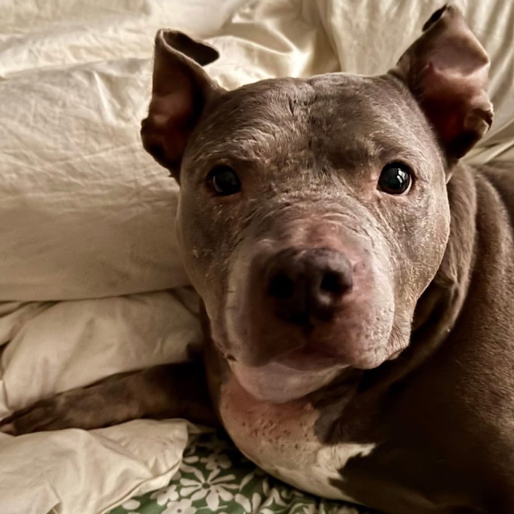 996f3af19d8c8ccb9ef14c2ea928c318