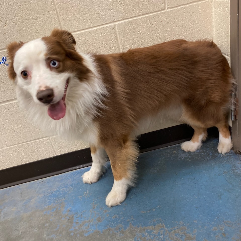 Nick — thumbnail 2