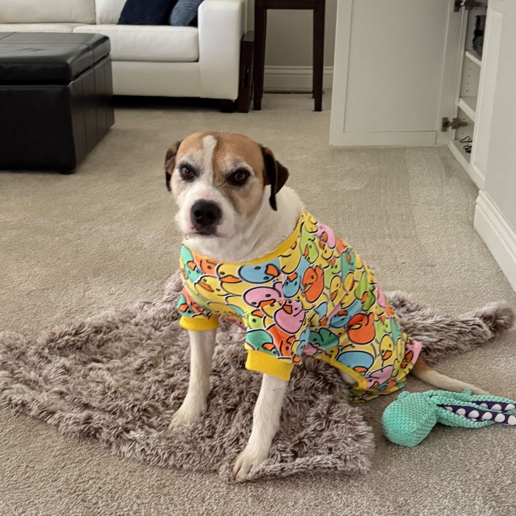 Coco, photo 7