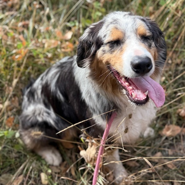 LEVI, photo 21