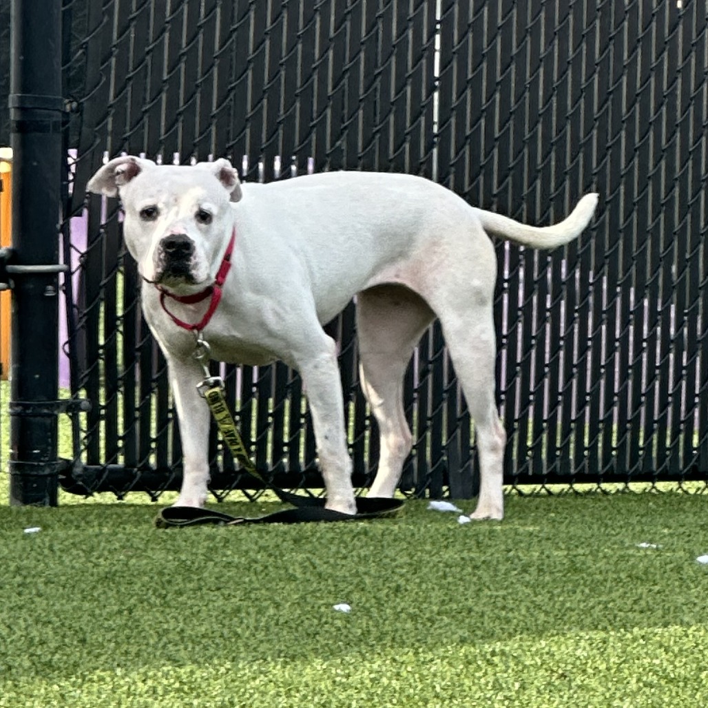 Photo of Betty White 7