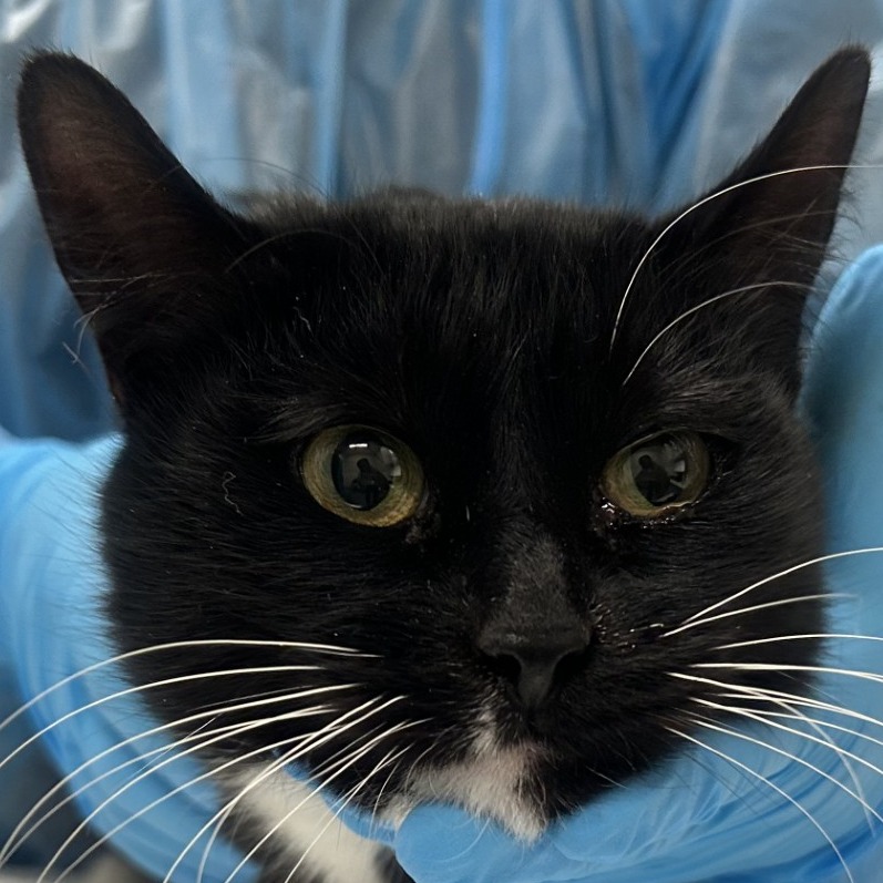 Shauna — thumbnail 2