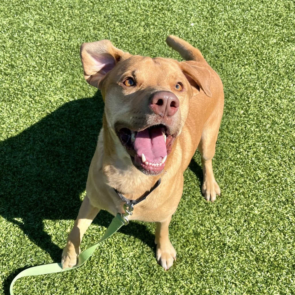 Photo of Gus 6