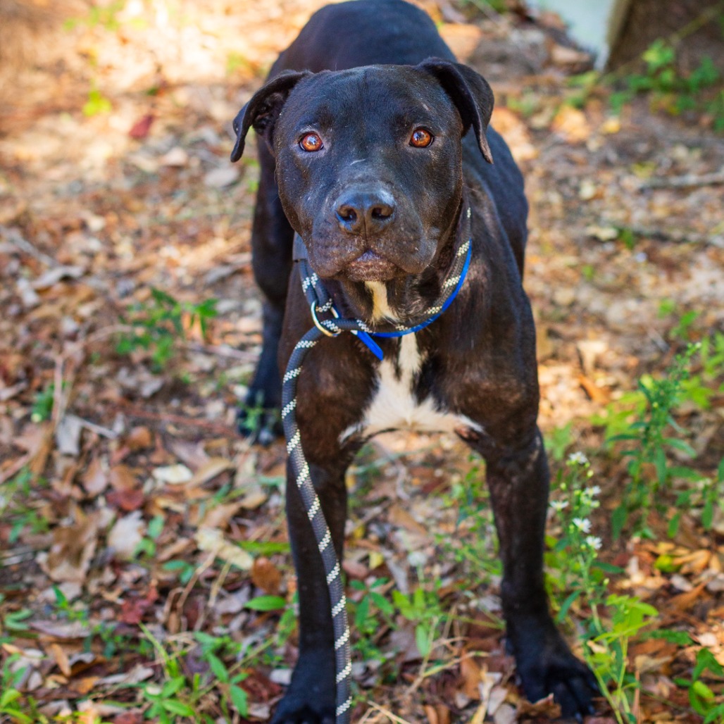 Marshall Lee, photo 3