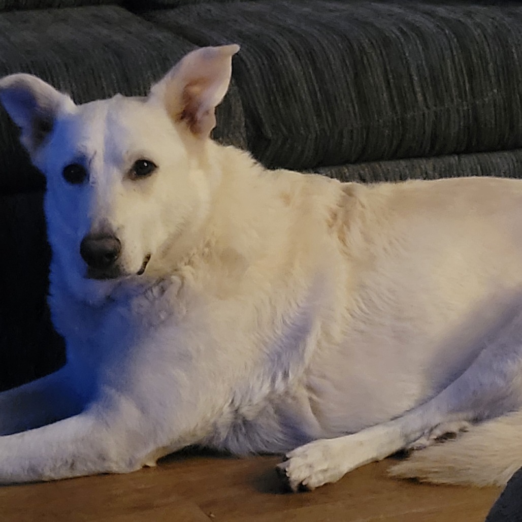 Walter, photo 9 of 10