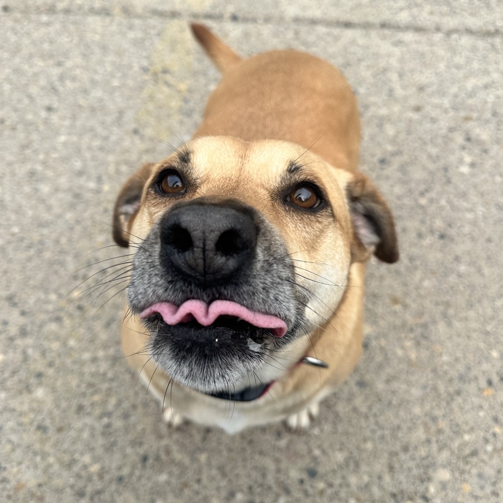 S'more — thumbnail 2