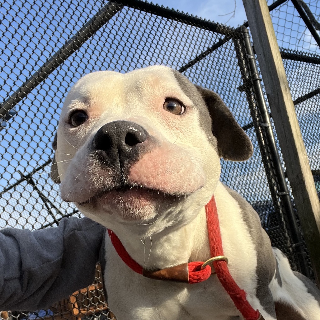 7a34e666ef32a3f87d7322e02f9a5bf7