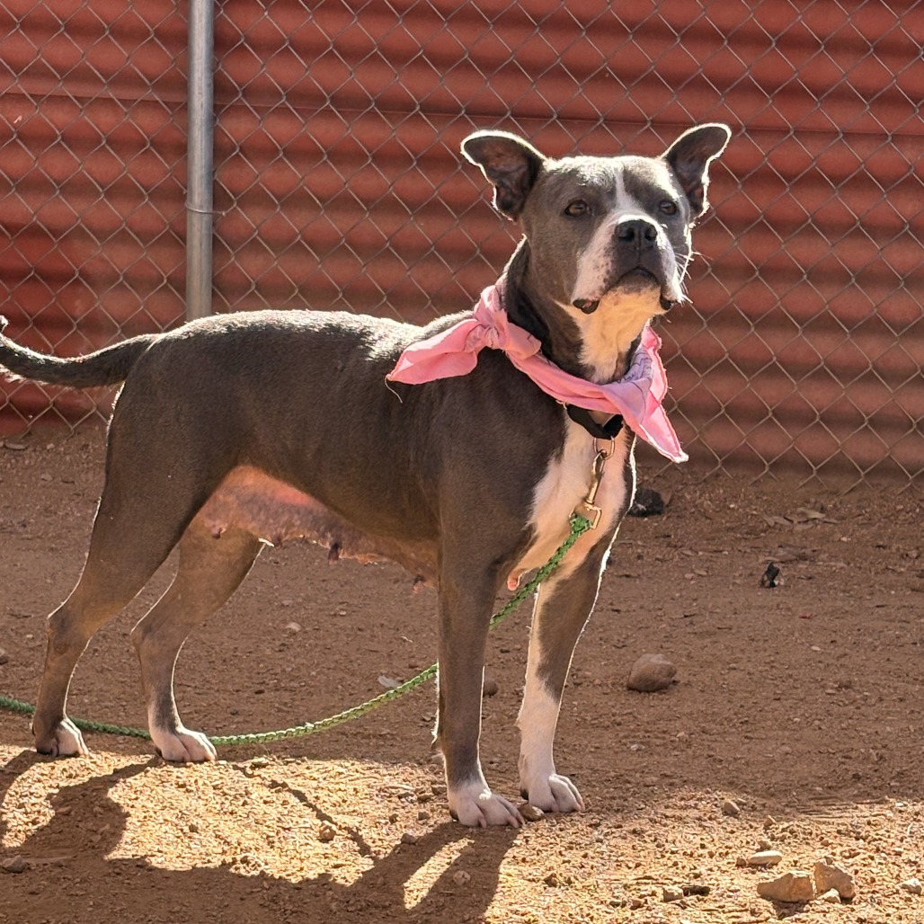 Goddess — thumbnail 8