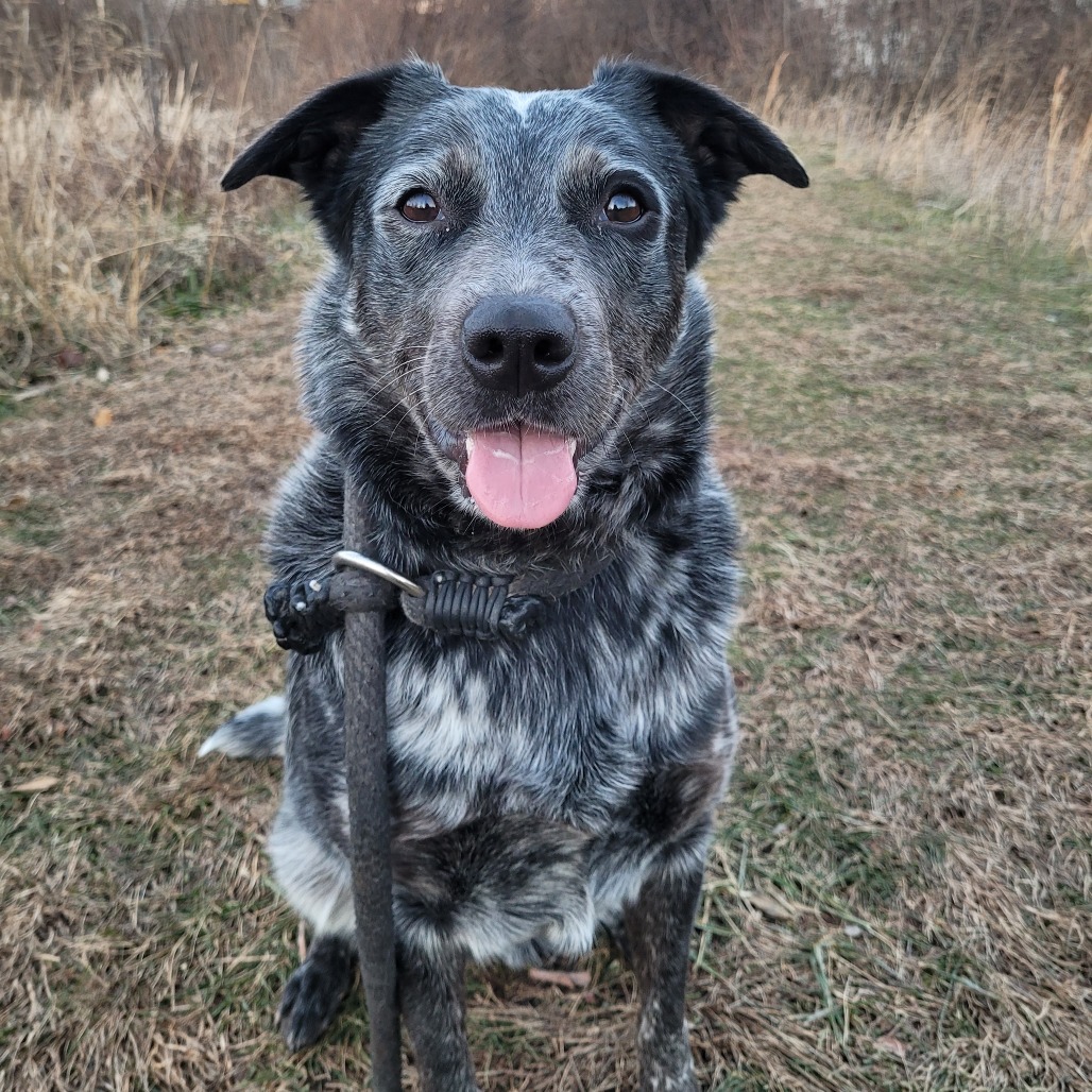 aa2abfd7dc815feb81b88875f8181012