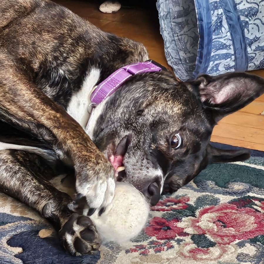 Baby Girl--In Foster, photo 5