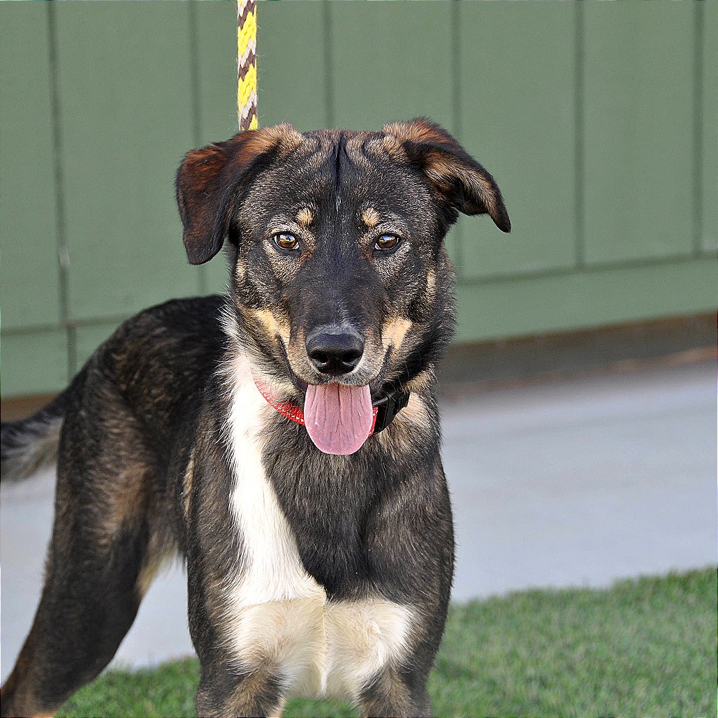 Mocha — thumbnail 5