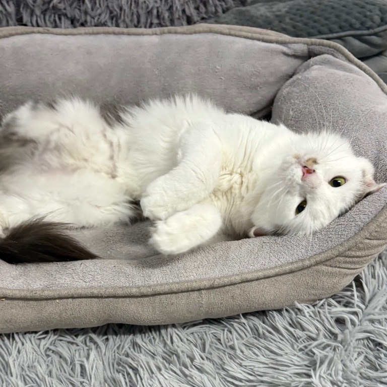 Photo of Velma playing