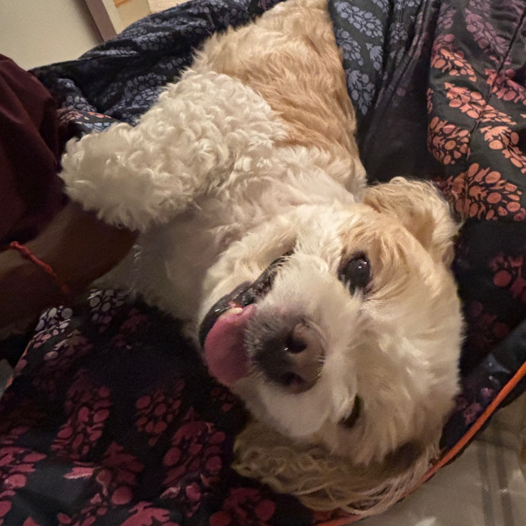 Riya, photo 27