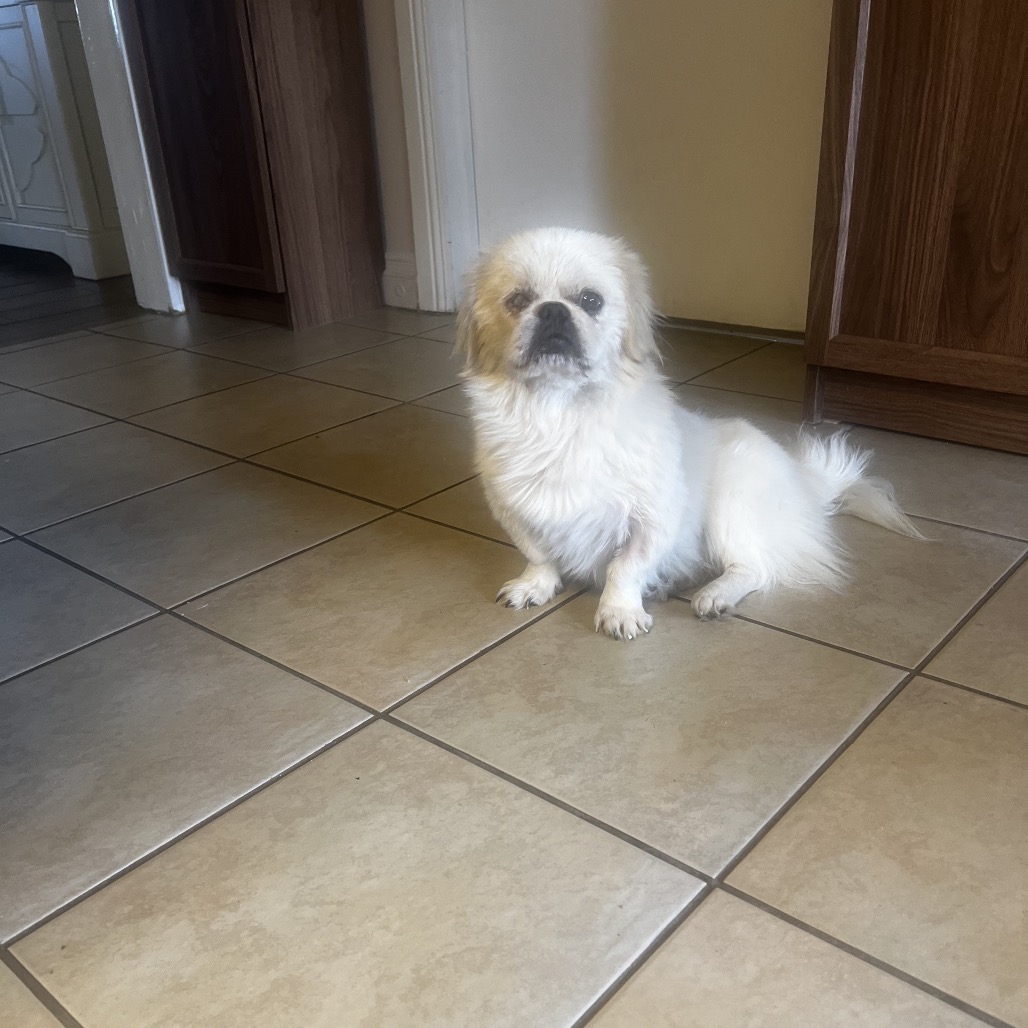 Henry, photo 2