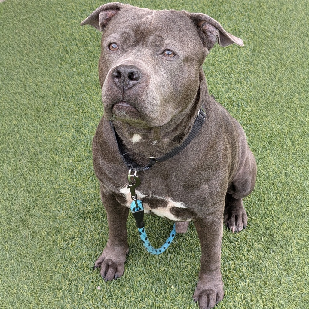 Photo of Tugboat