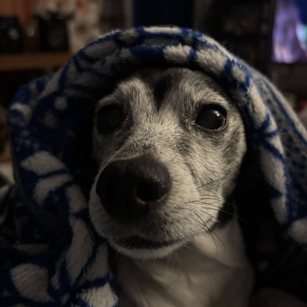 Marmalade — thumbnail 4