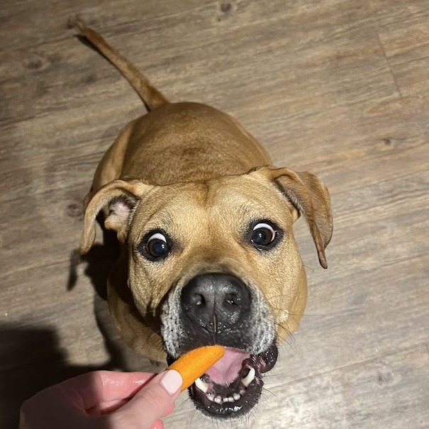 Nectarine, additional photo