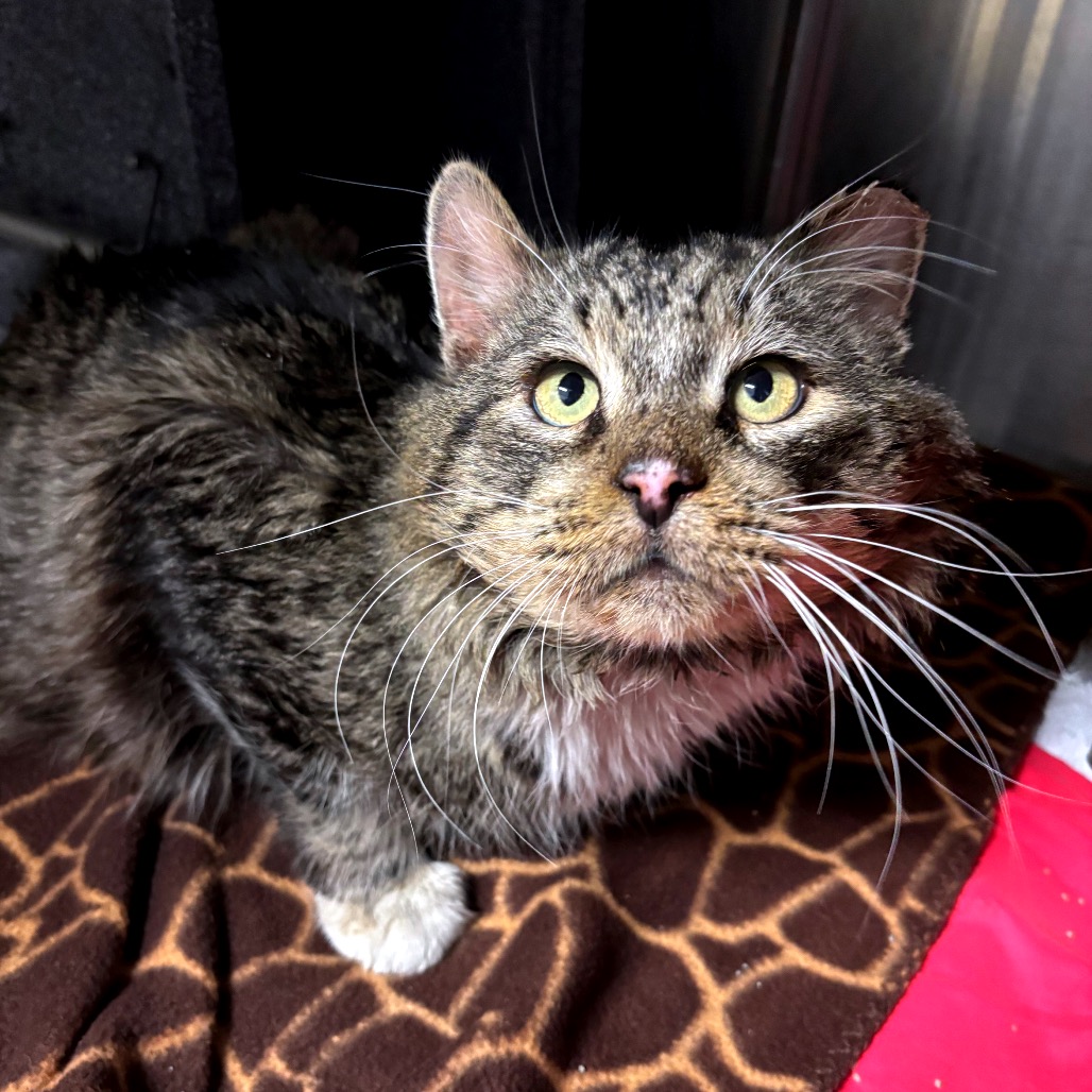 Kroger — thumbnail 3