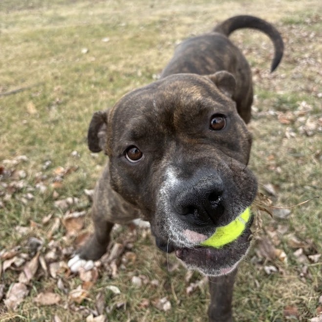 Keekoh — thumbnail 5