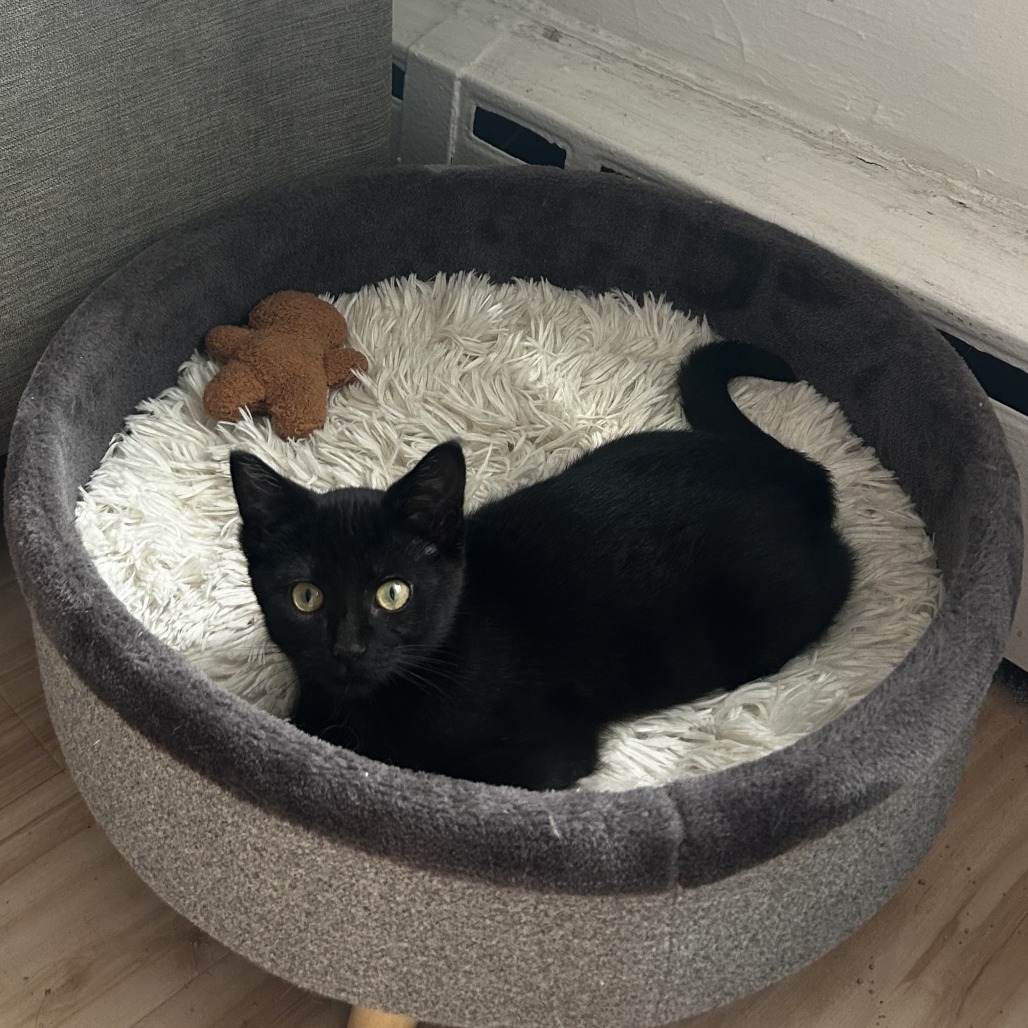 Photo of Sophie