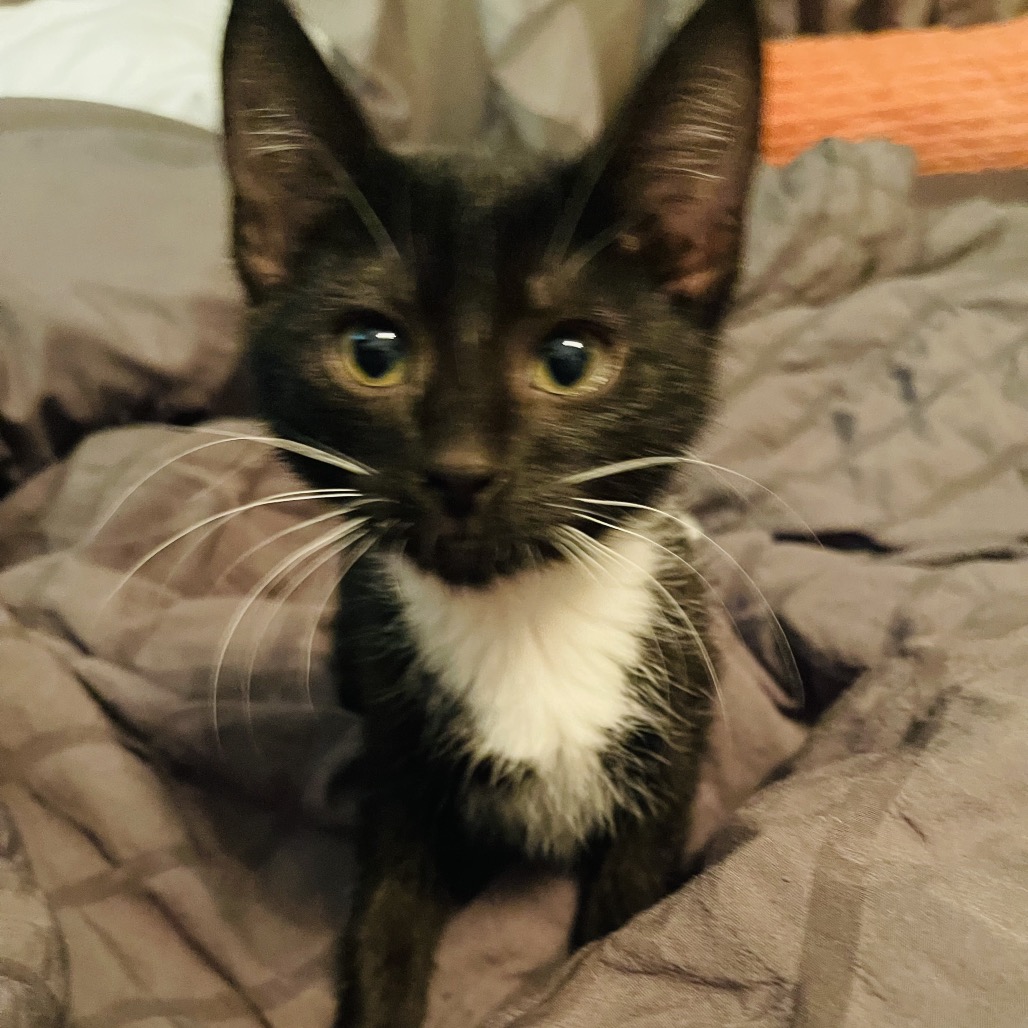 Newbie J2 -- Help us name this Newbie! photo