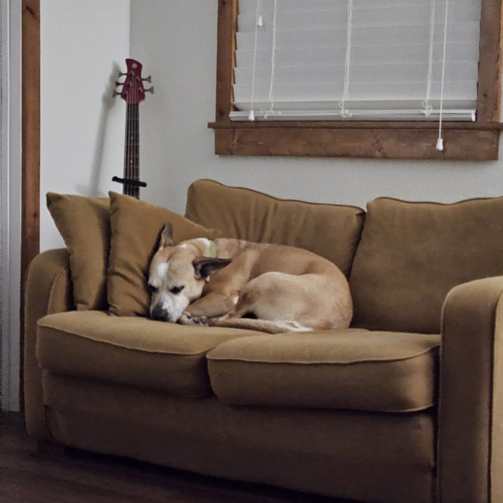 Libby, photo 18