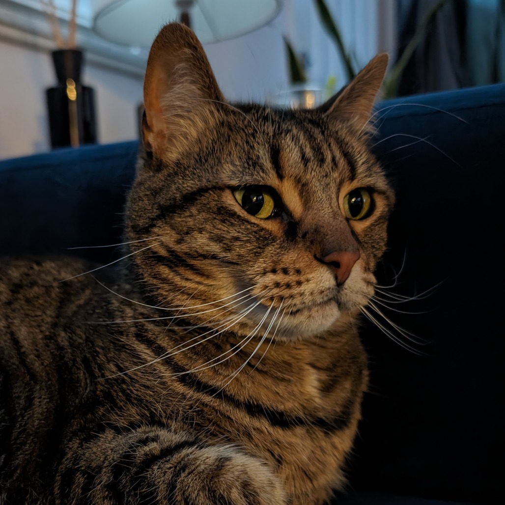 Blueberry — thumbnail 2