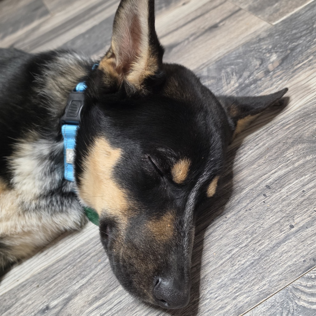 Makai, photo 5