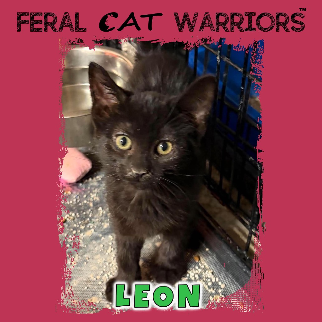 Leon
