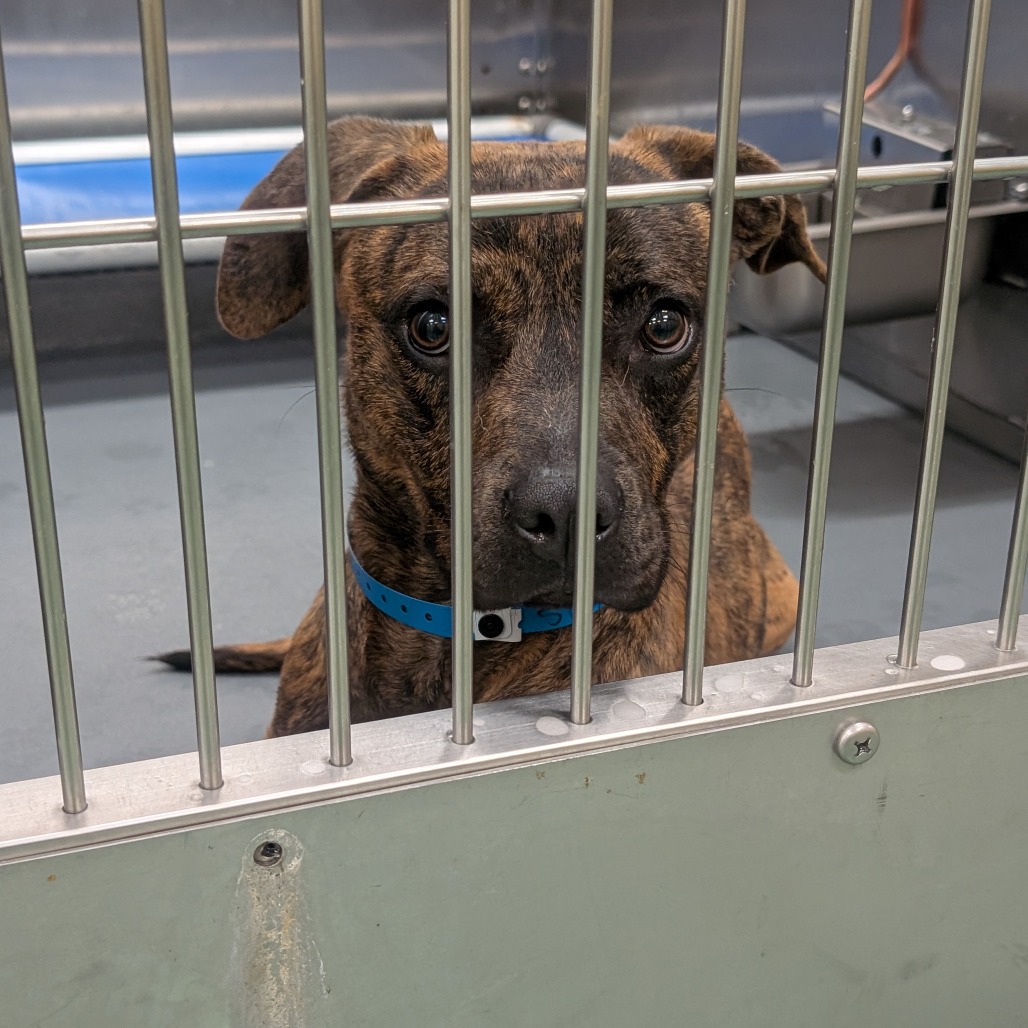 COSTA — thumbnail 4