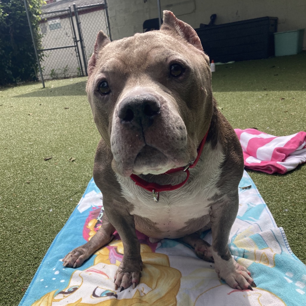Zeus, additional photo