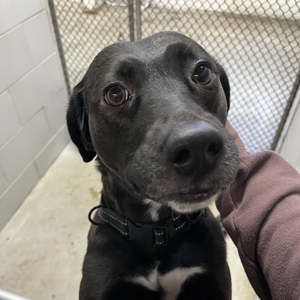 Sissy — thumbnail 5